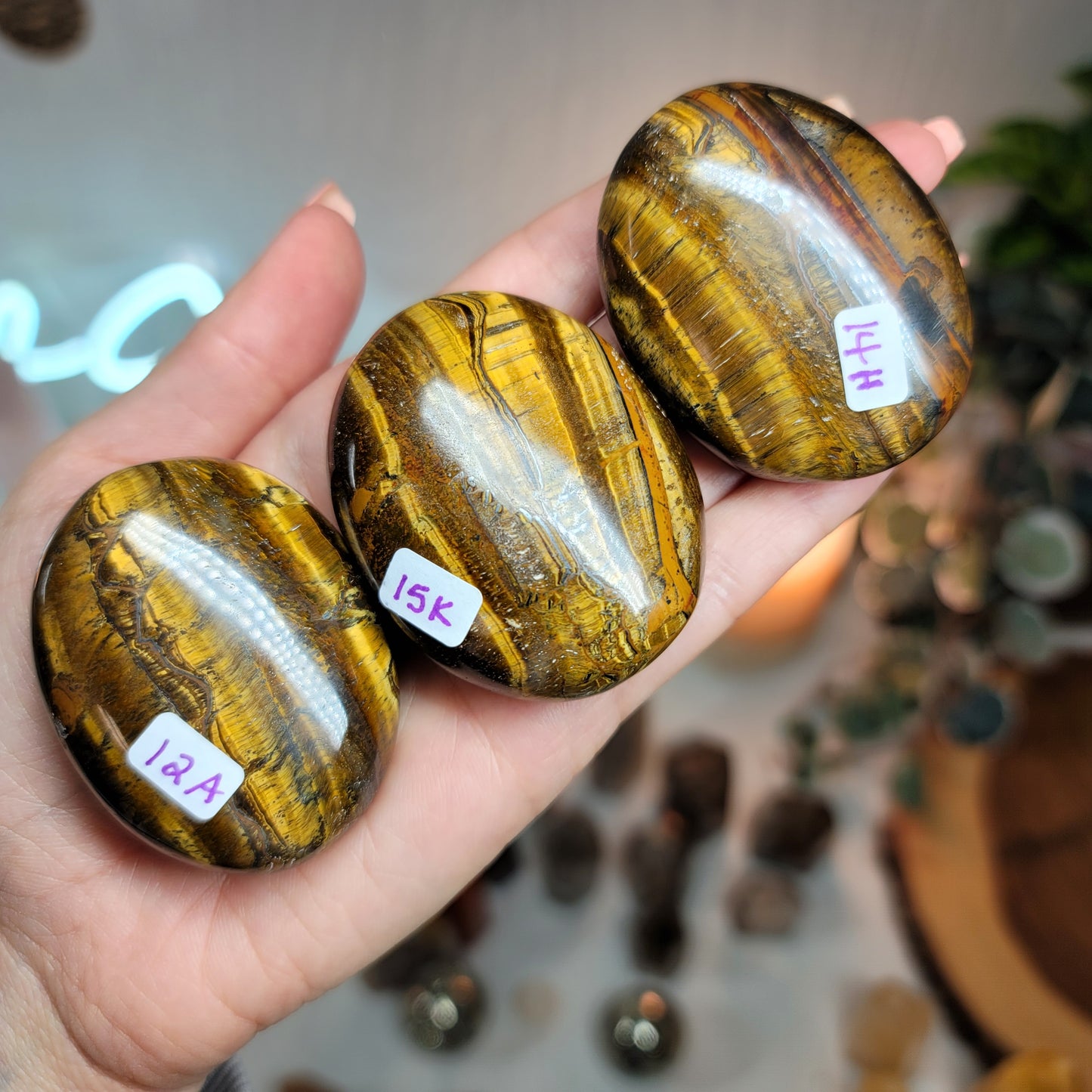 Tiger's Eye Palmstones, India - 001