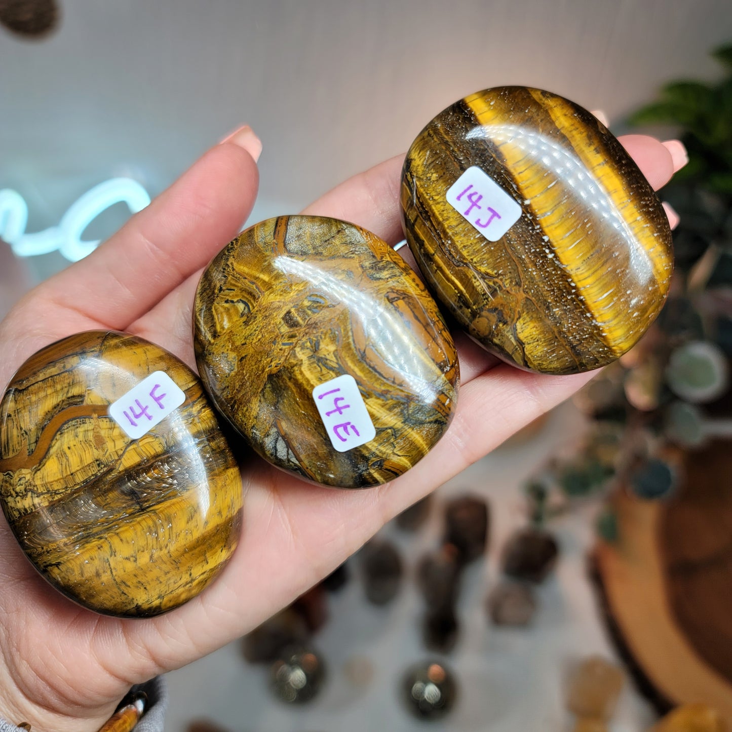 Tiger's Eye Palmstones, India - 002