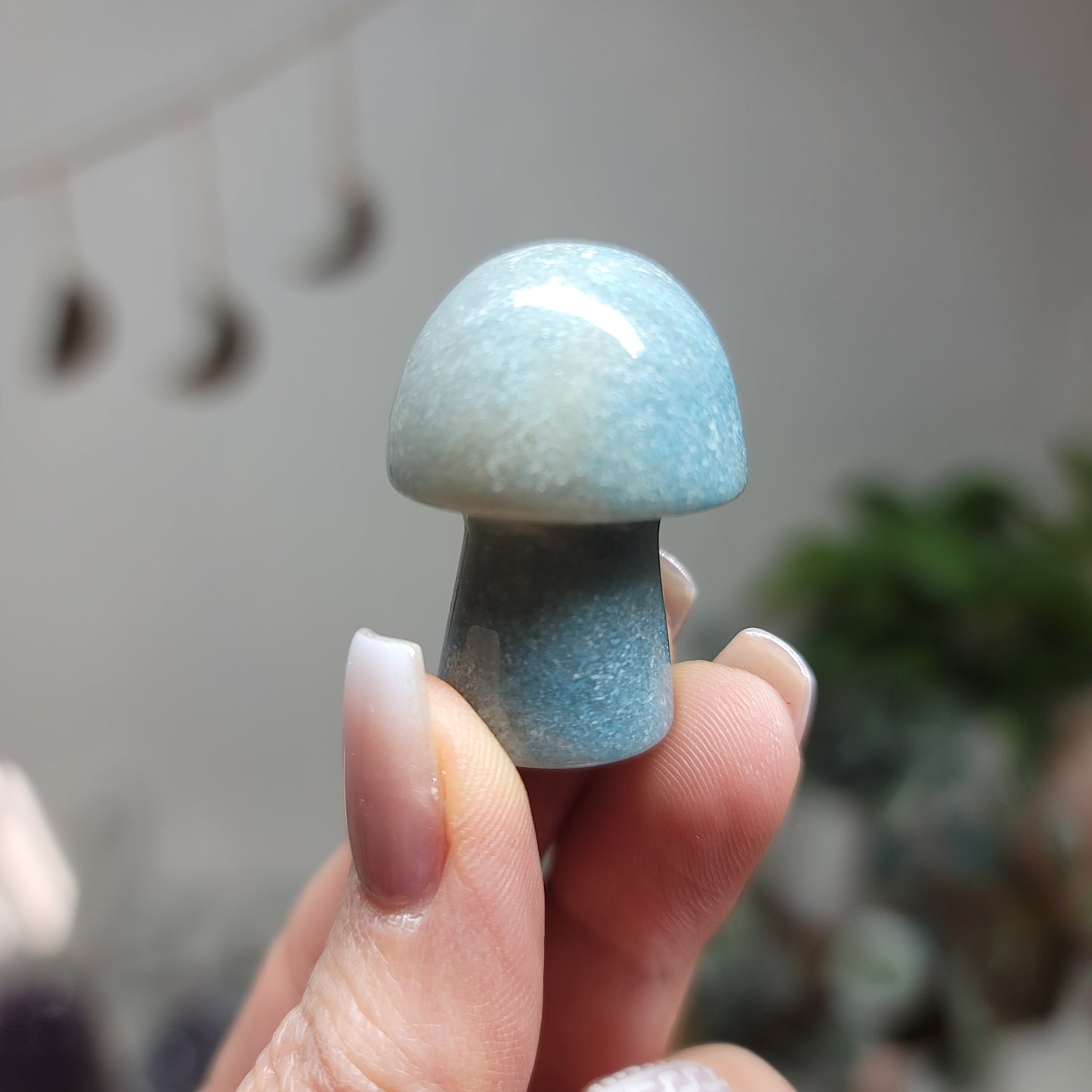 Mini Trolleite Mushroom