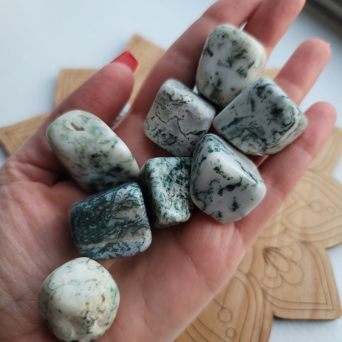 Tree Agate || growth, abundance, harmony