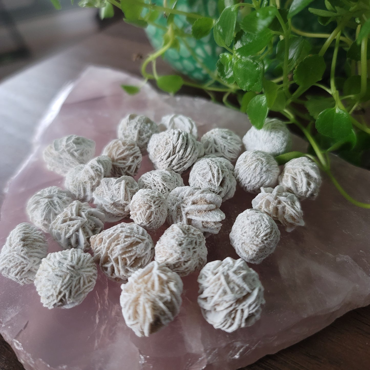 Mini Desert Rose Selenite