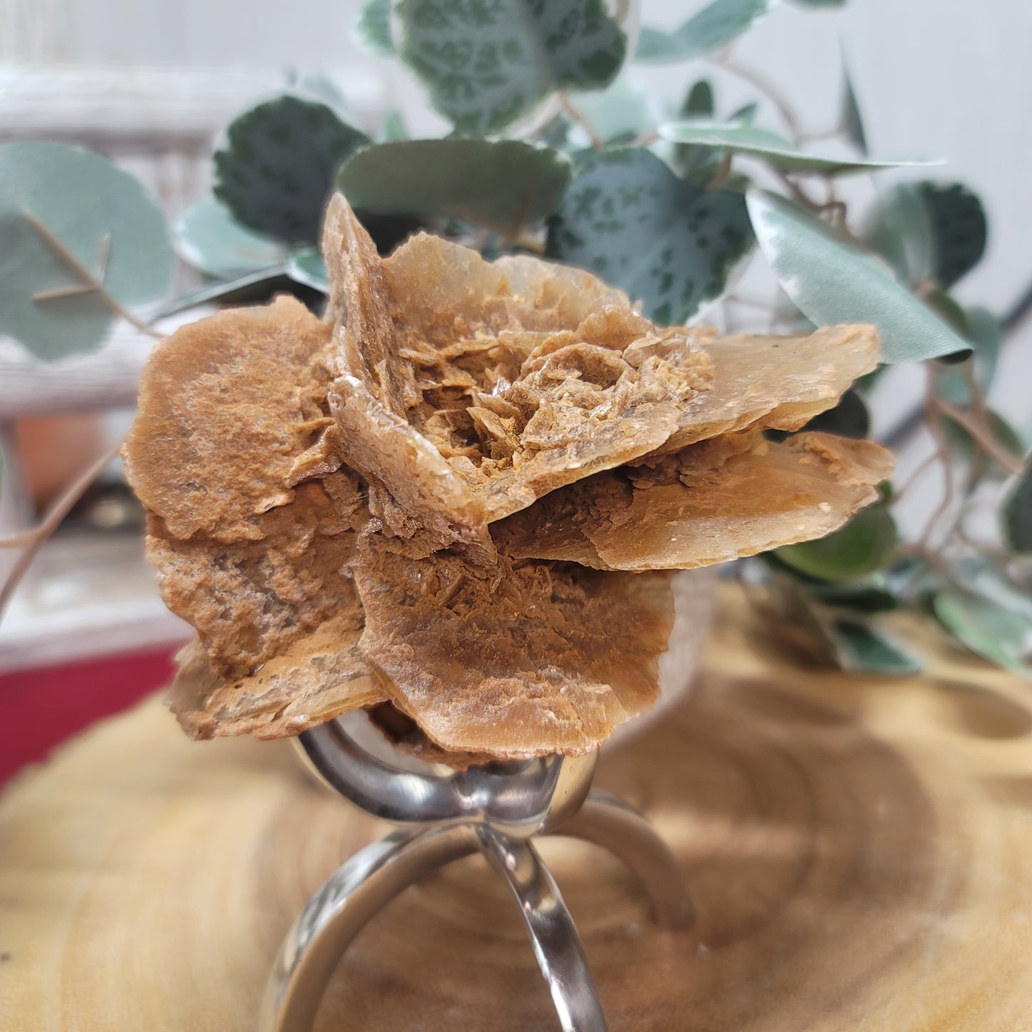 Desert Rose Specimen, Morocco – Stone of Stillness & Inner Clarity - 001