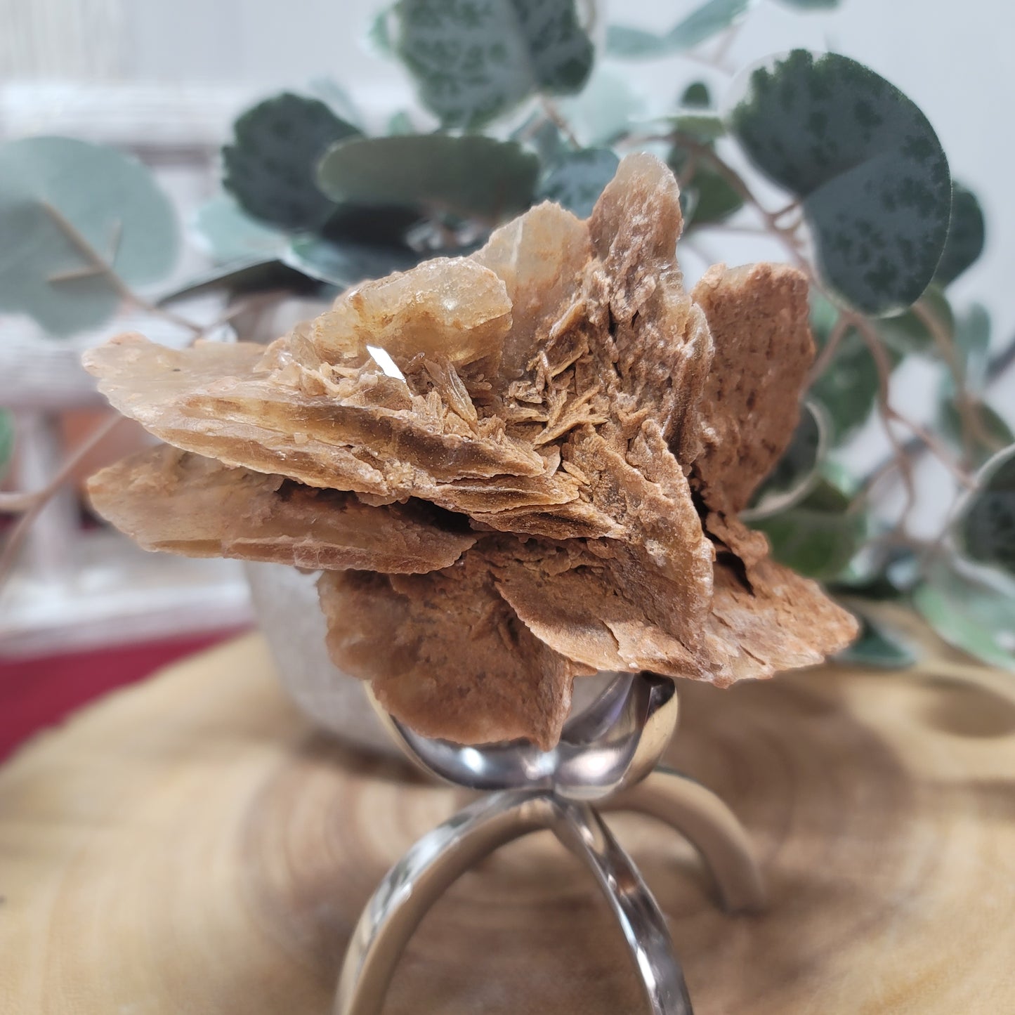 Desert Rose Specimen, Morocco – Stone of Stillness & Inner Clarity - 001