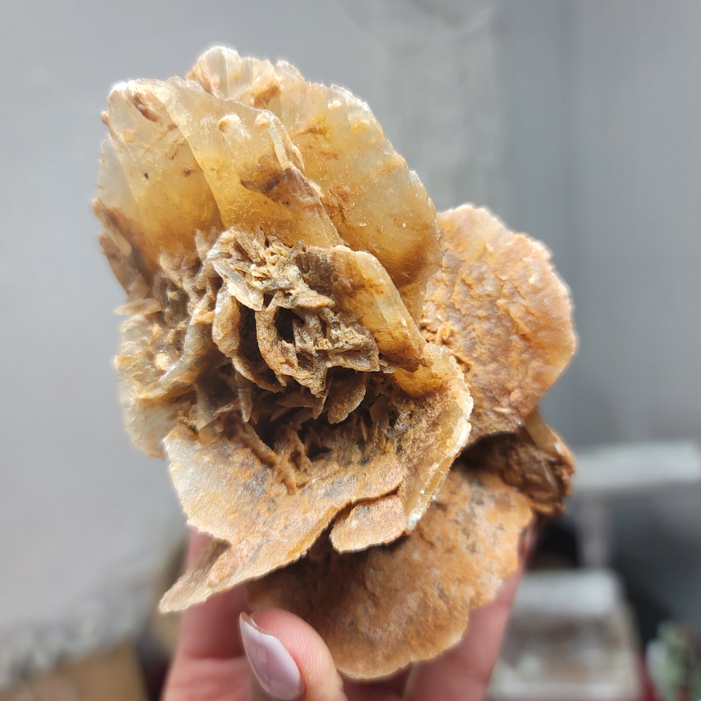 Desert Rose Specimen, Morocco – Stone of Stillness & Inner Clarity - 001