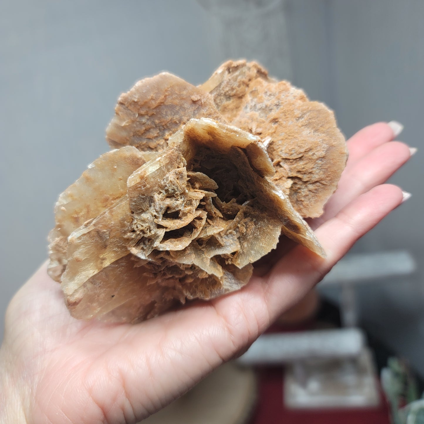 Desert Rose Specimen, Morocco – Stone of Stillness & Inner Clarity - 001