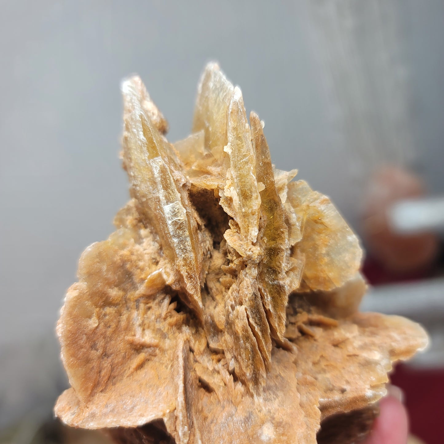 Desert Rose Specimen, Morocco – Stone of Stillness & Inner Clarity - 001