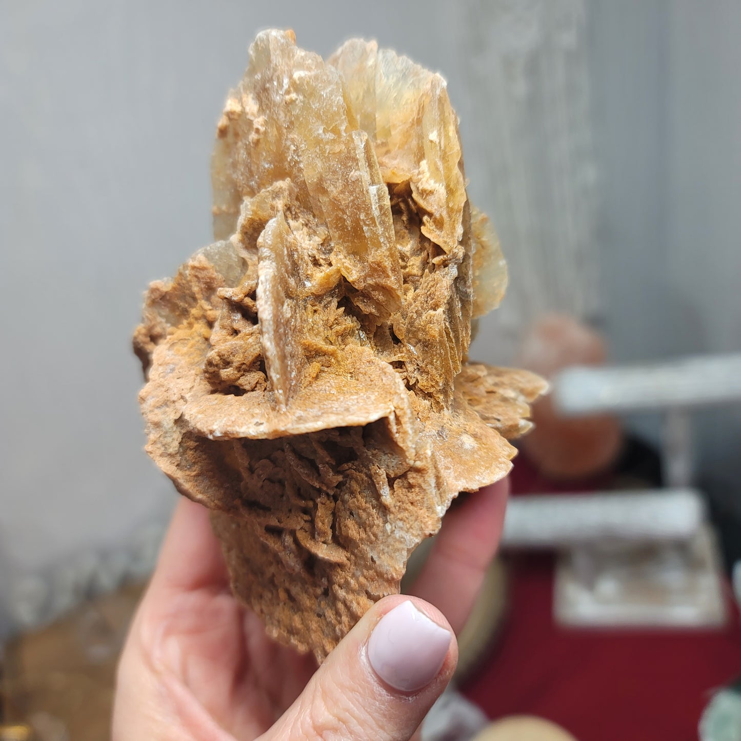 Desert Rose Specimen, Morocco – Stone of Stillness & Inner Clarity - 001