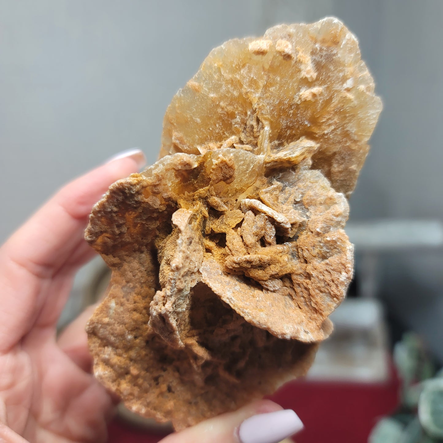 Desert Rose Specimen, Morocco – Stone of Stillness & Inner Clarity - 001