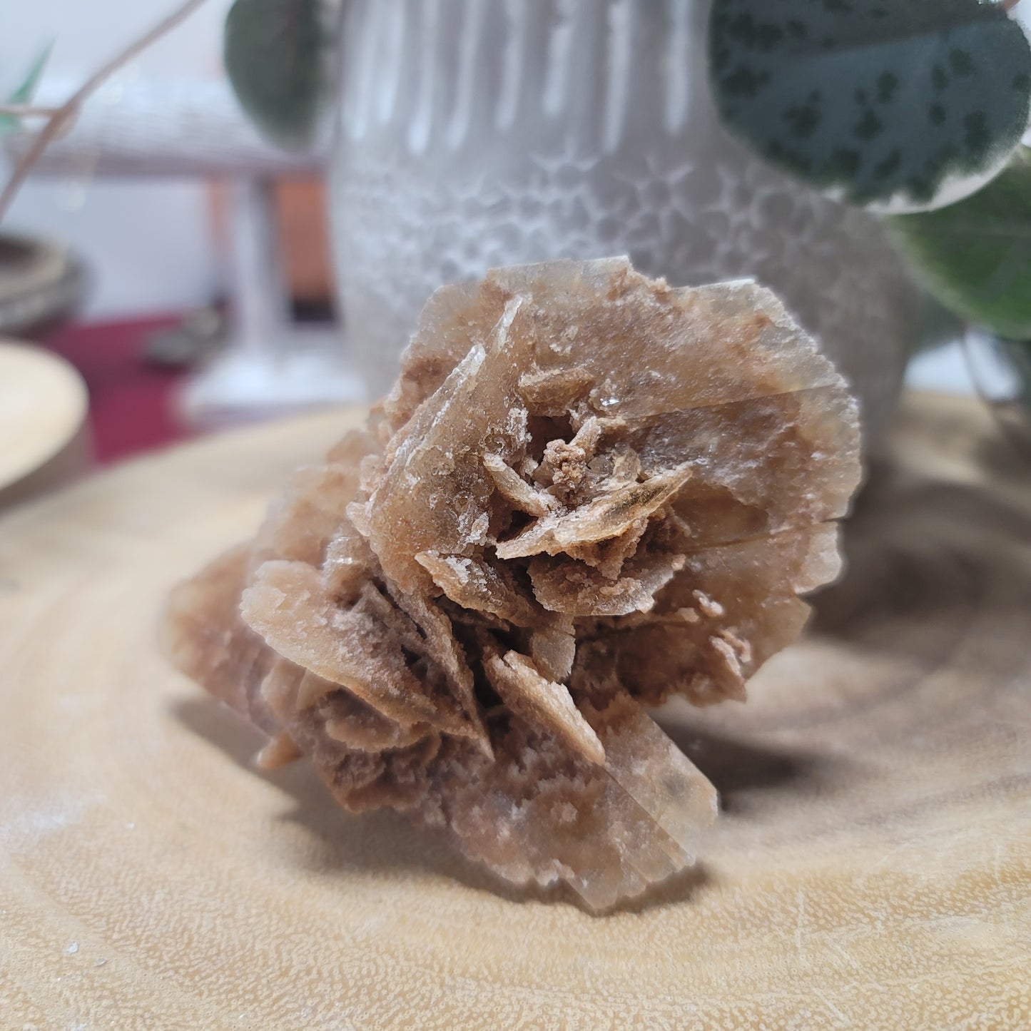 Desert Rose Specimen, Morocco – Stone of Stillness & Inner Clarity - 002