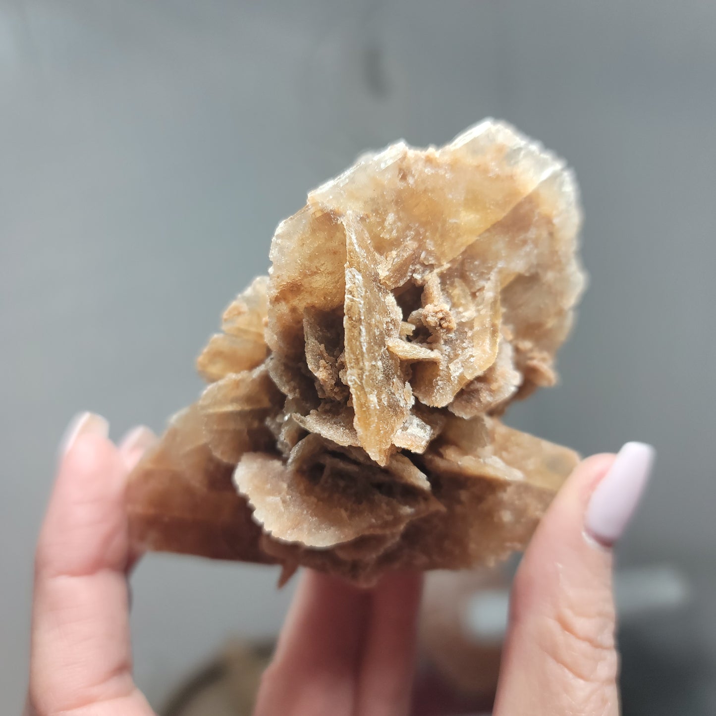 Desert Rose Specimen, Morocco – Stone of Stillness & Inner Clarity - 002