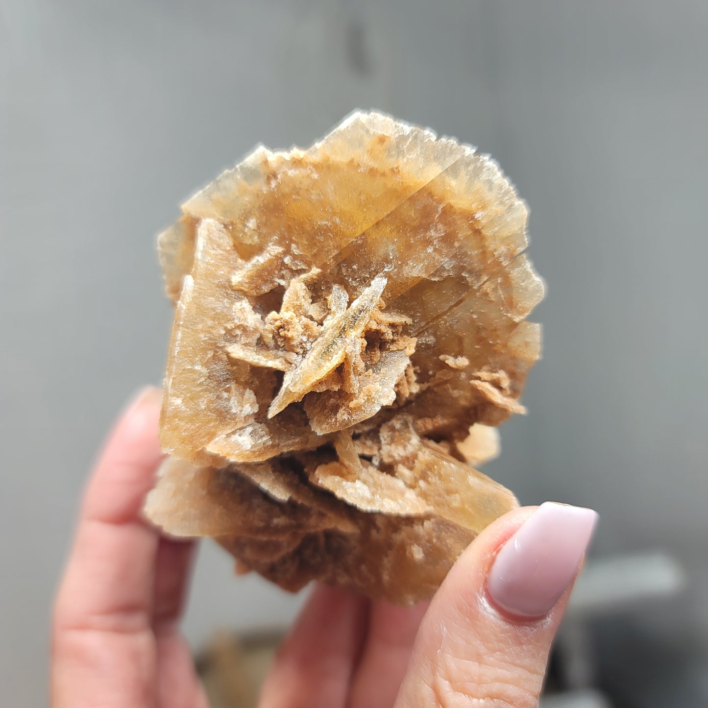 Desert Rose Specimen, Morocco – Stone of Stillness & Inner Clarity - 002