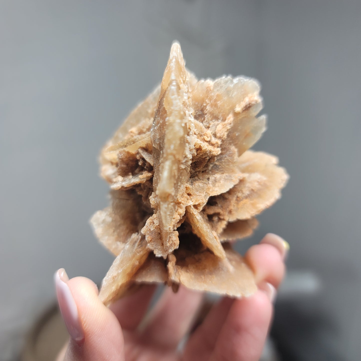 Desert Rose Specimen, Morocco – Stone of Stillness & Inner Clarity - 002