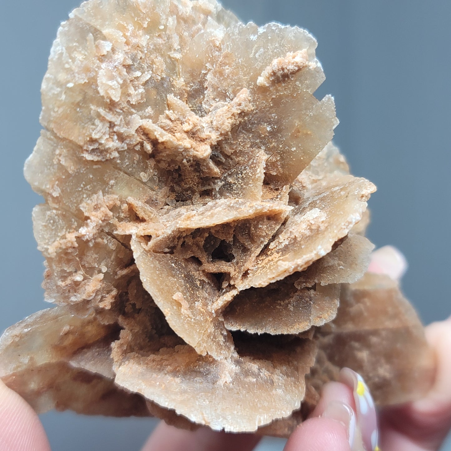 Desert Rose Specimen, Morocco – Stone of Stillness & Inner Clarity - 002