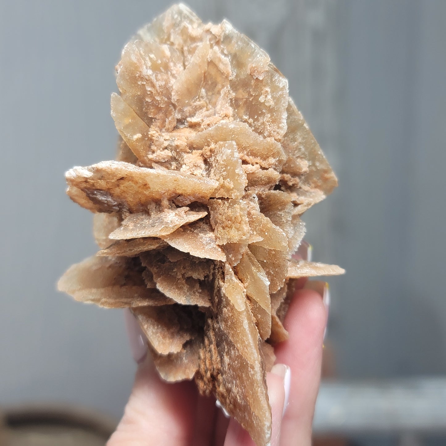 Desert Rose Specimen, Morocco – Stone of Stillness & Inner Clarity - 002