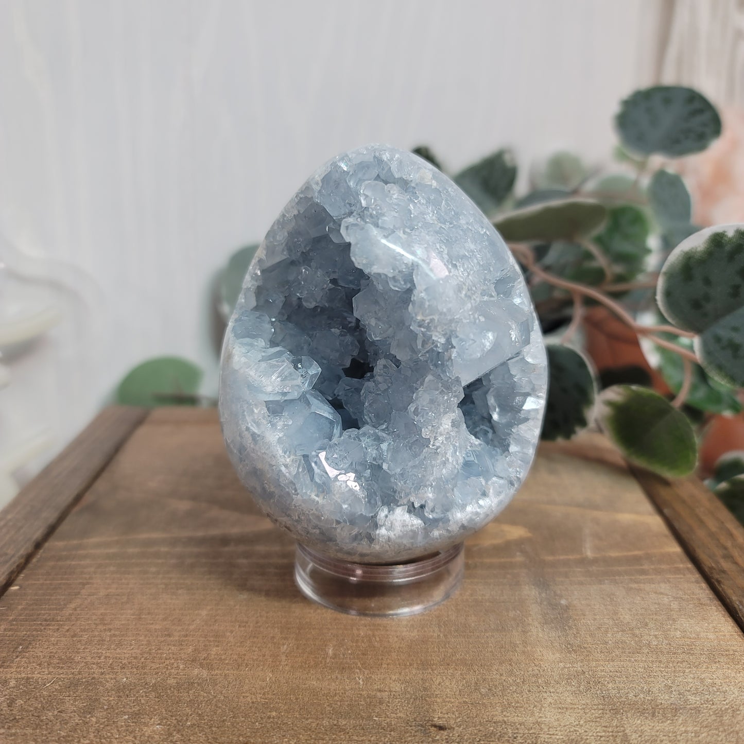 Celestite Egg – Madagascar Blue Crystal for Peace & Calm |01