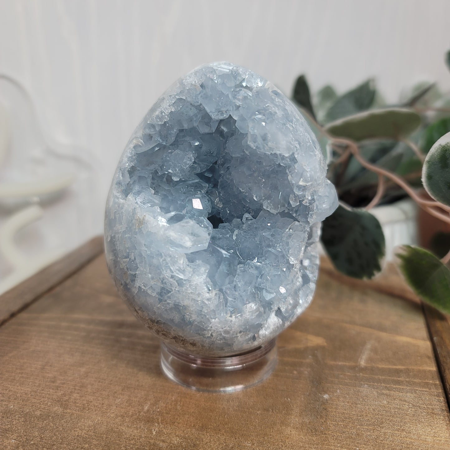 Celestite Egg – Madagascar Blue Crystal for Peace & Calm |01