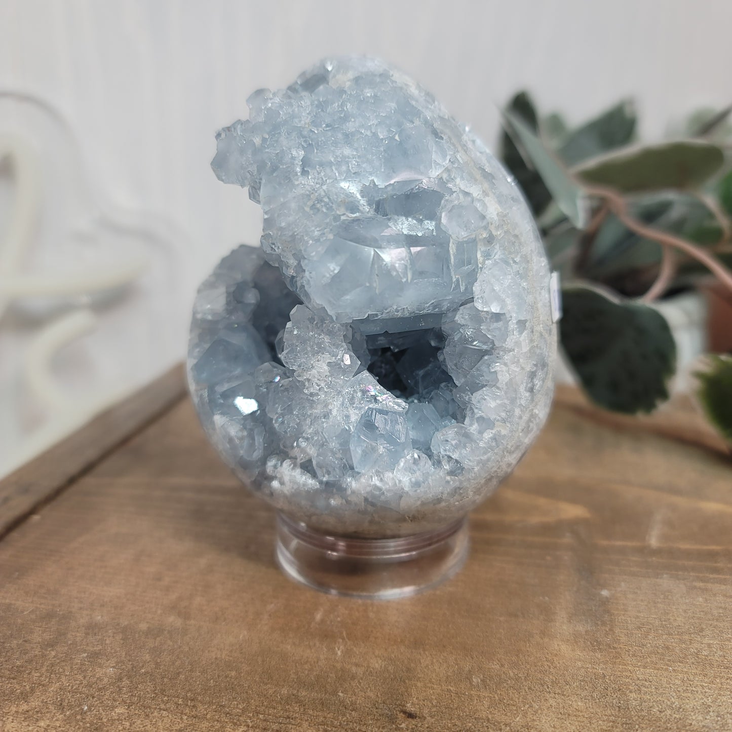 Celestite Egg – Madagascar Blue Crystal for Peace & Calm |01