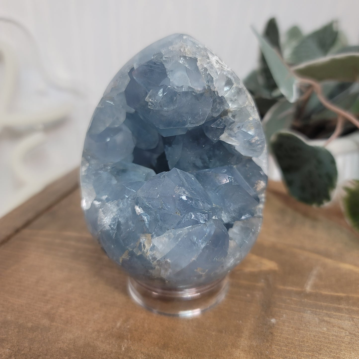 Celestite Egg – Madagascar Blue Crystal for Peace & Calm |03