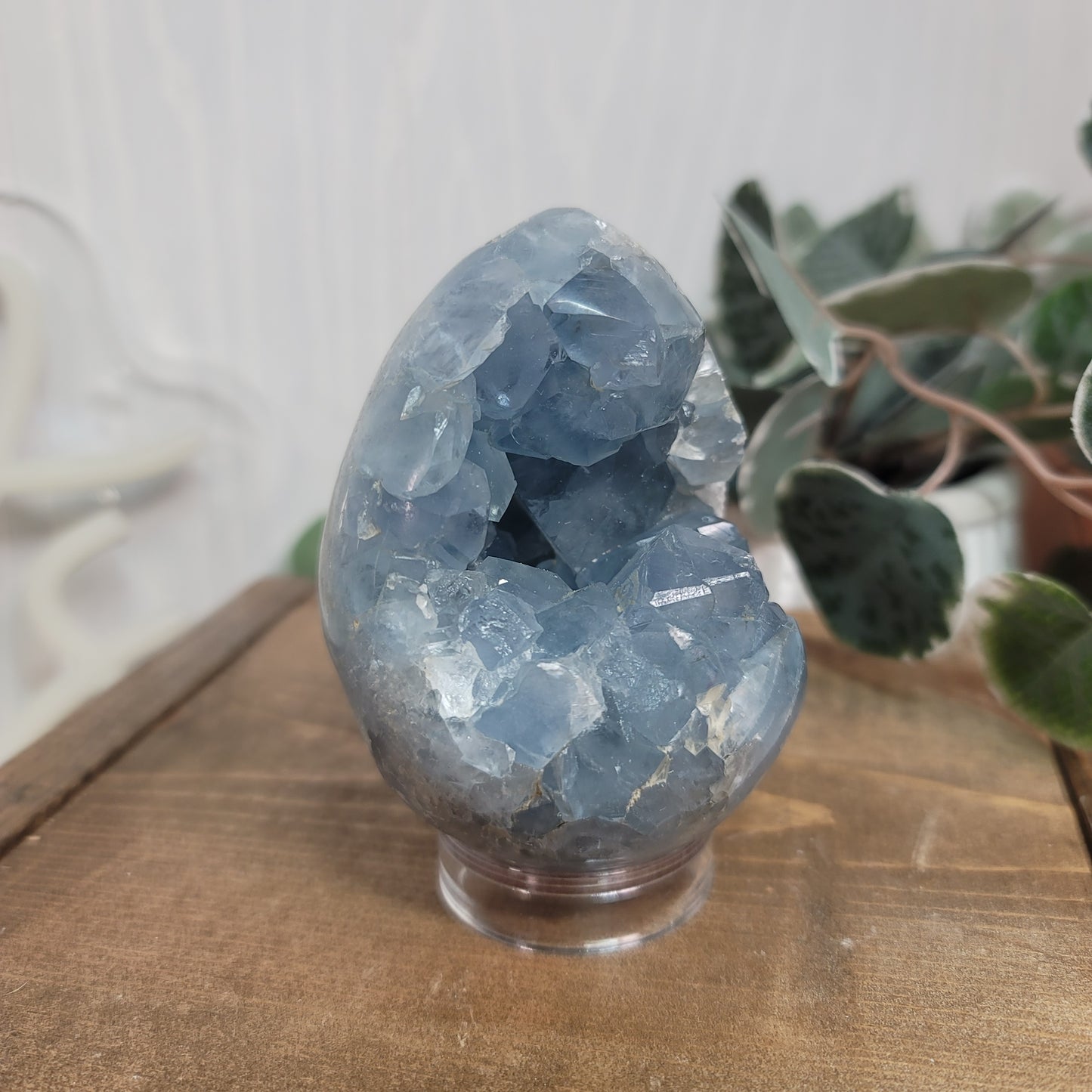 Celestite Egg – Madagascar Blue Crystal for Peace & Calm |03