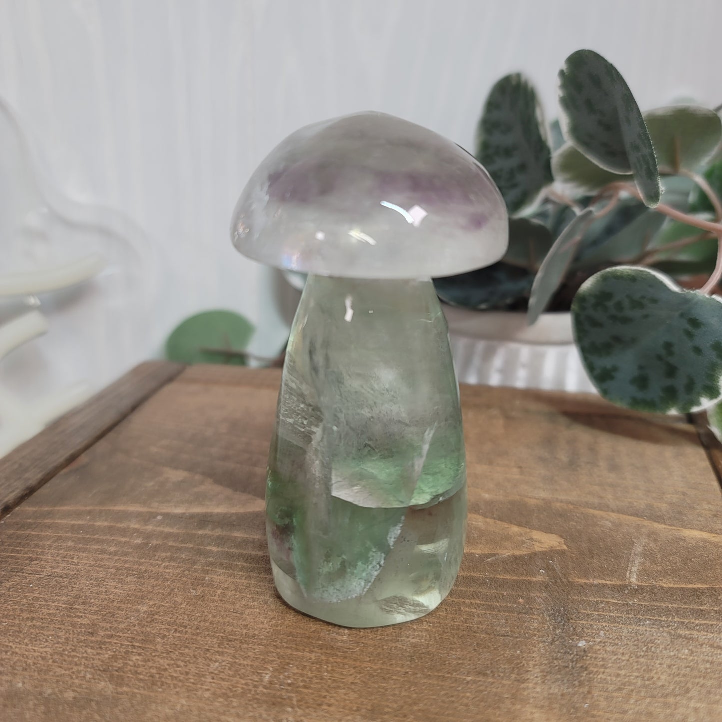Rainbow Fluorite Mushroom – Balance, Focus & Energy Flow