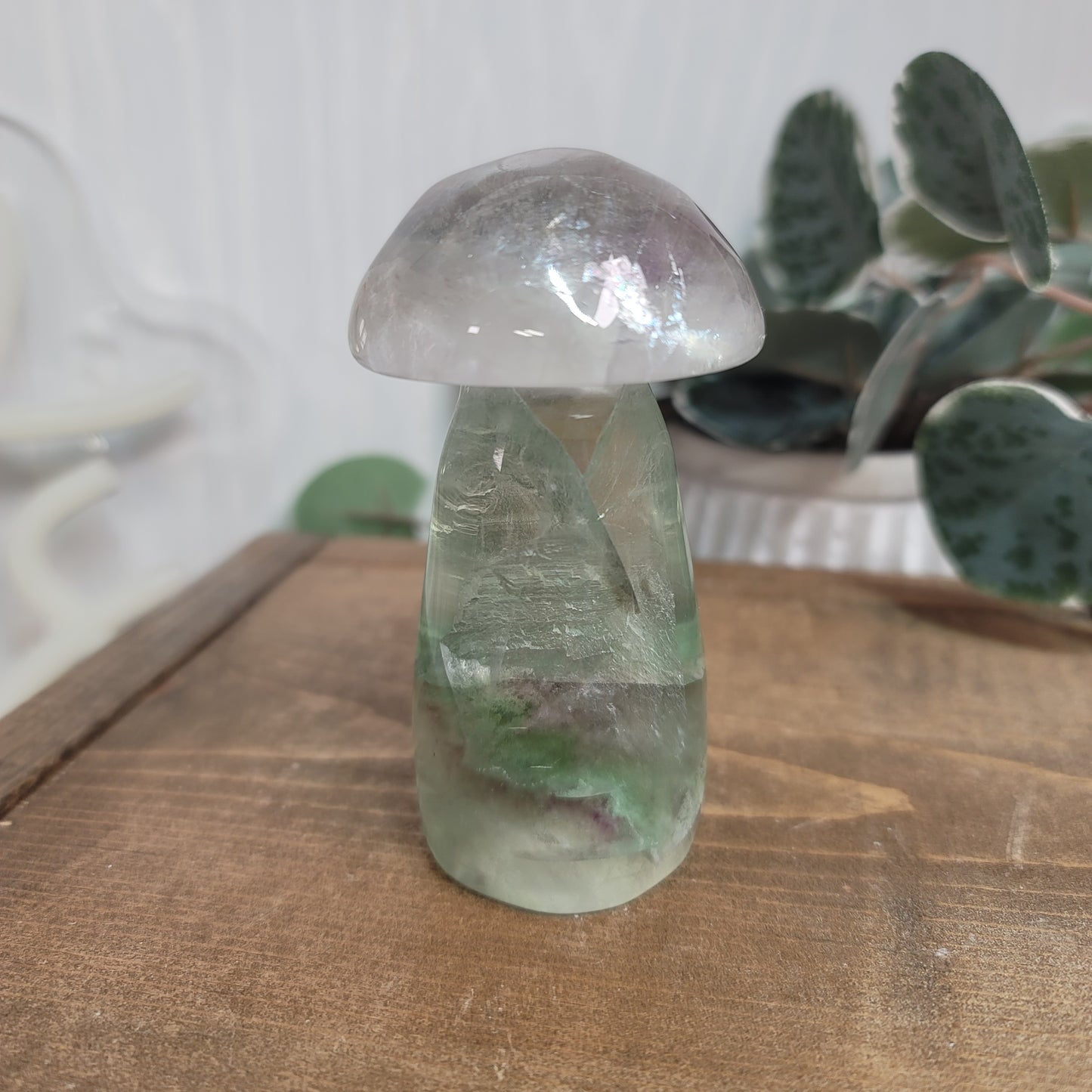 Rainbow Fluorite Mushroom – Balance, Focus & Energy Flow