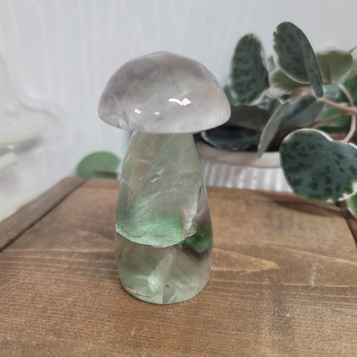 Rainbow Fluorite Mushroom – Balance, Focus & Energy Flow