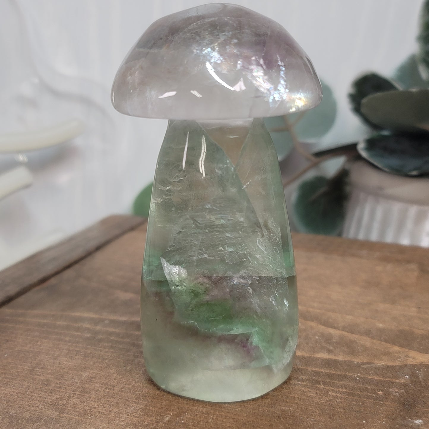 Rainbow Fluorite Mushroom – Balance, Focus & Energy Flow