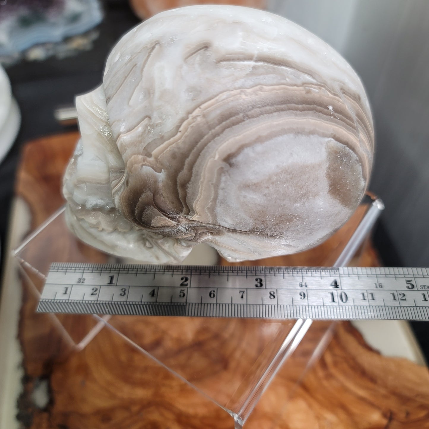 Large Mexican Banded Calcite Skull | Healing Stone for Wisdom & Grounding | Hand-Carved Crystal Skull | 02