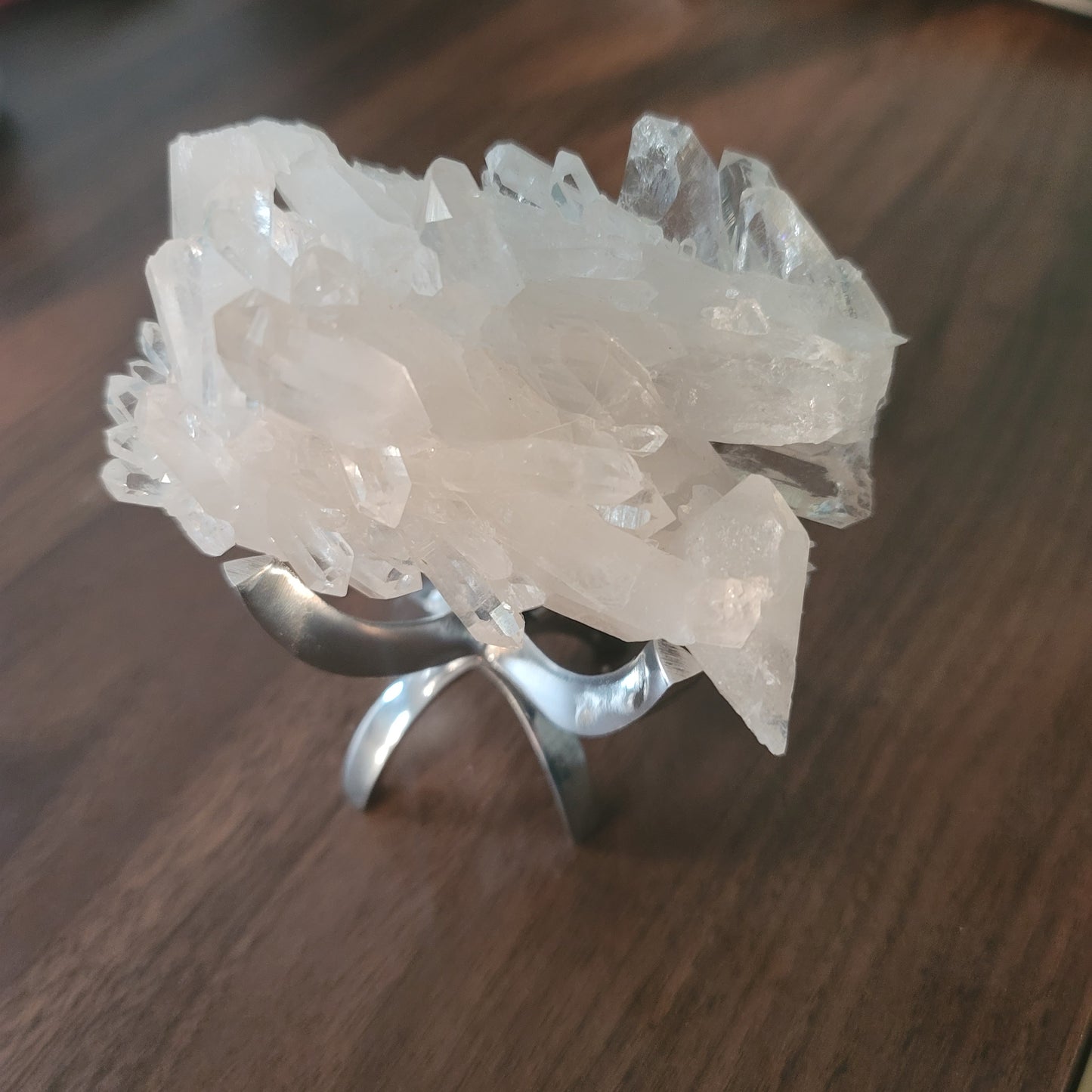 Silver Claw Display