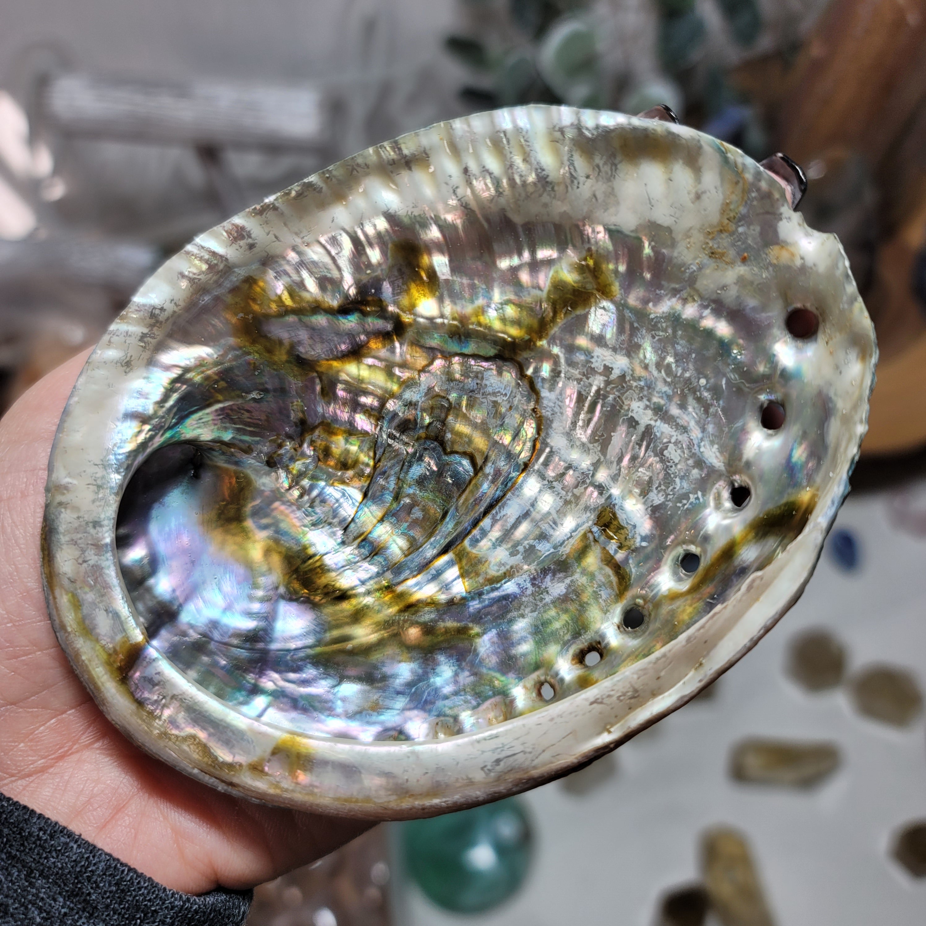 Abalone Shell | Smudge Bowl Tool – Stardust Elements