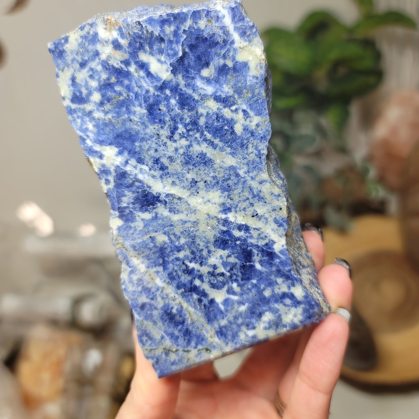 Sodalite Freeform | Brazil
