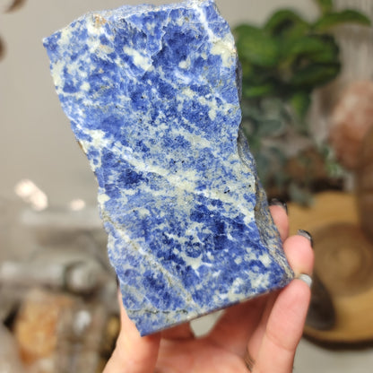 Sodalite Freeform | Brazil