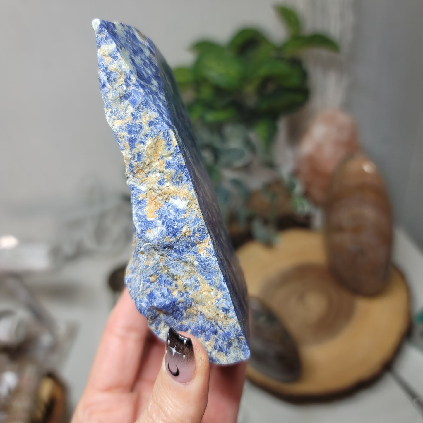 Sodalite Freeform | Brazil