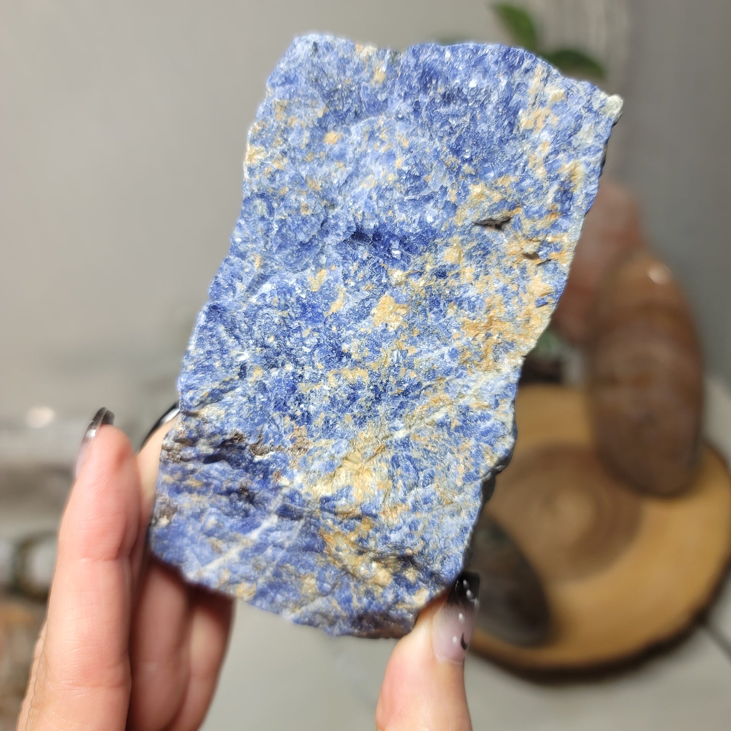 Sodalite Freeform | Brazil