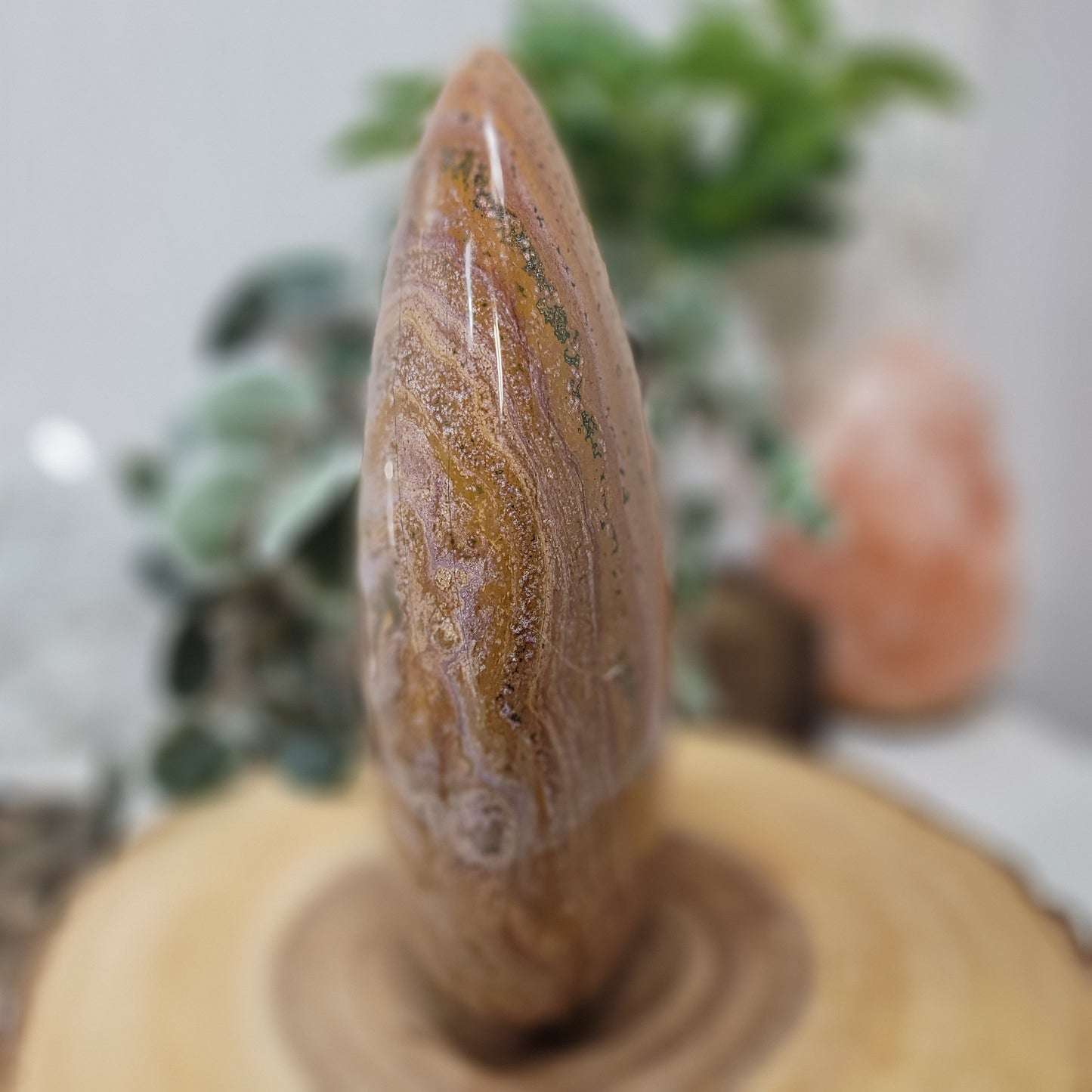 Ocean Jasper Free Form Statement Piece, Madagascar | 001