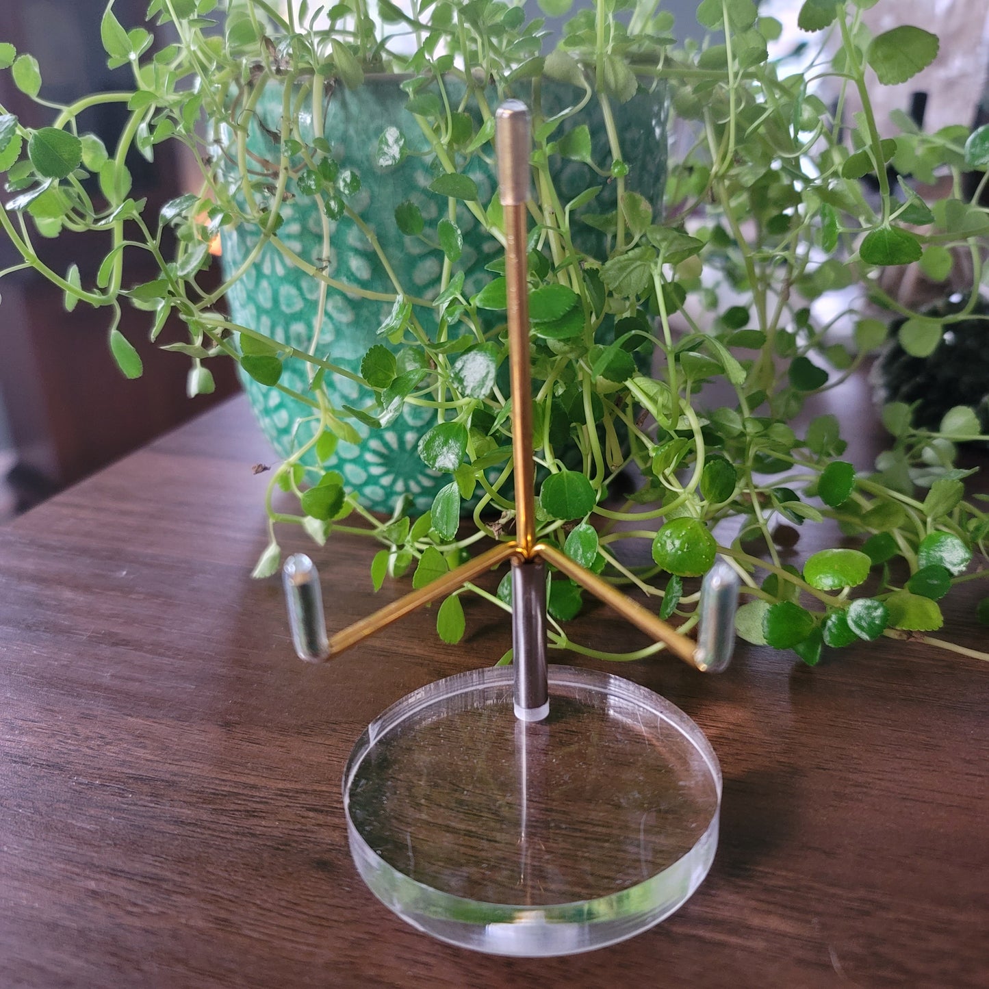 Crystal Display Stand - Gold & Acrylic