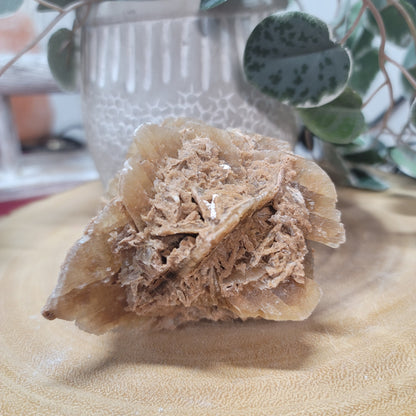 Desert Rose Specimen, Morocco – Stone of Stillness & Inner Clarity - 003