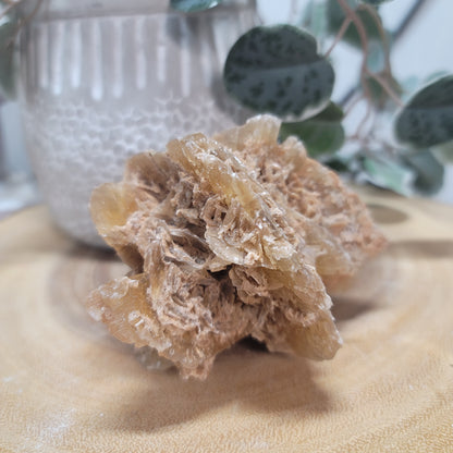Desert Rose Specimen, Morocco – Stone of Stillness & Inner Clarity - 003