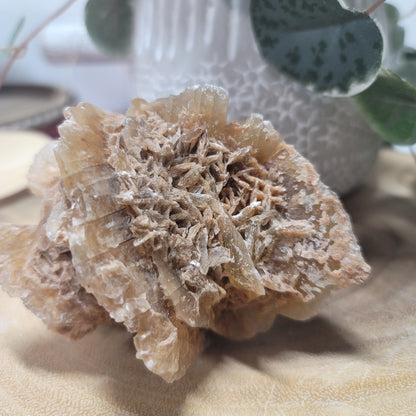 Desert Rose Specimen, Morocco – Stone of Stillness & Inner Clarity - 003