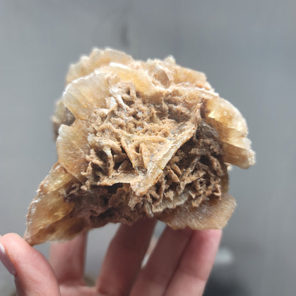 Desert Rose Specimen, Morocco – Stone of Stillness & Inner Clarity - 003