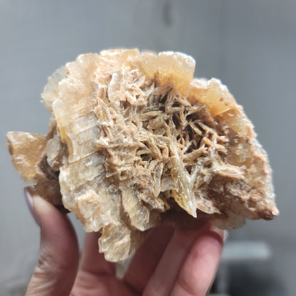 Desert Rose Specimen, Morocco – Stone of Stillness & Inner Clarity - 003