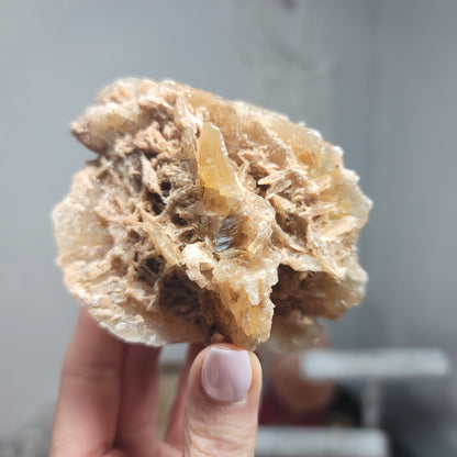Desert Rose Specimen, Morocco – Stone of Stillness & Inner Clarity - 003