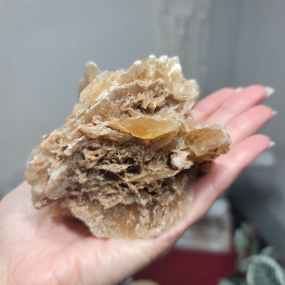 Desert Rose Specimen, Morocco – Stone of Stillness & Inner Clarity - 003