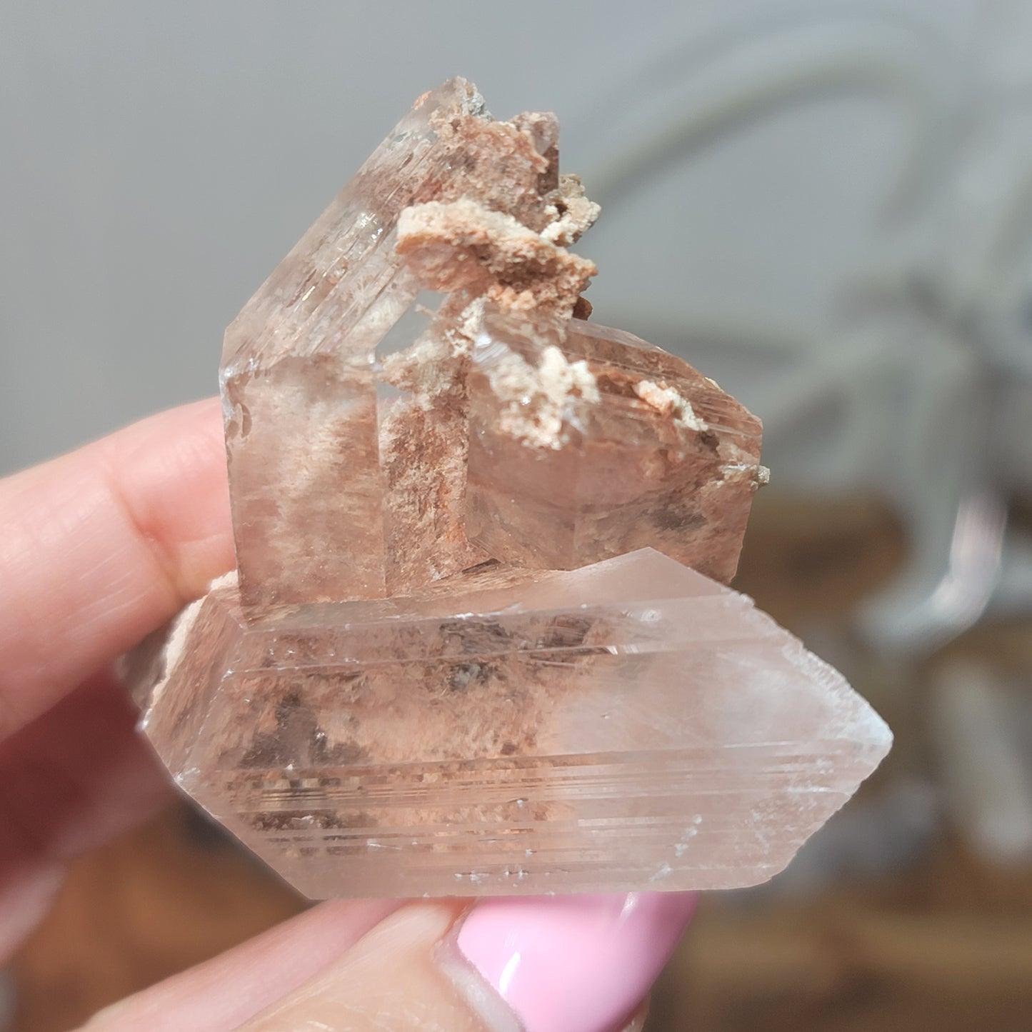 Bermejillo Selenite, Durango Mexico 02