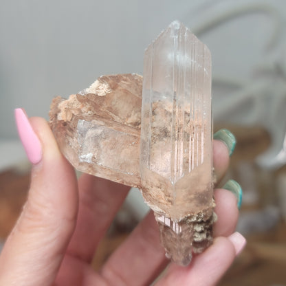 Bermejillo Selenite, Durango Mexico 02