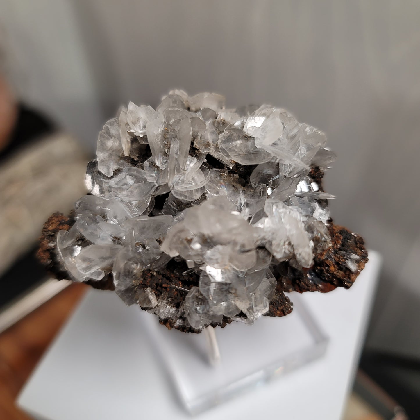 Mouse Ear Calcite Specimen, Ojuela Mine, Mapimí, Durango, Mexico - 01