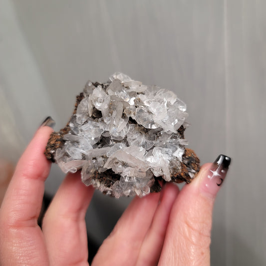 Mouse Ear Calcite Specimen, Ojuela Mine, Mapimí, Durango, Mexico - 01