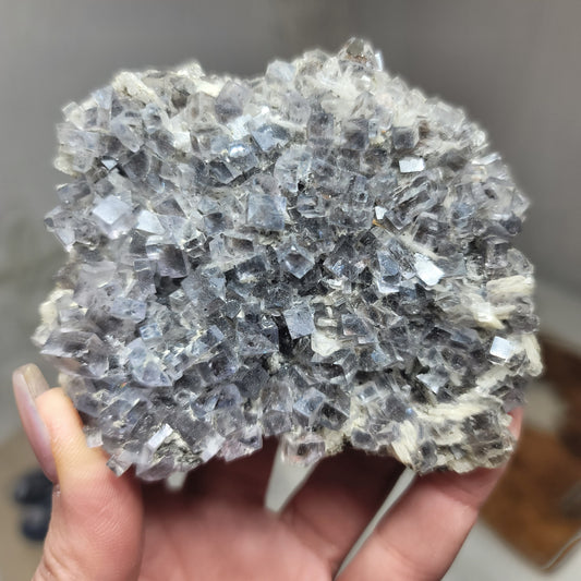 Blue-Gray Fluorite with Barite from Emilio Mine, Asturias, Spain | Collector Mineral Specimen