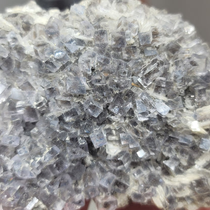 Blue-Gray Fluorite with Barite from Emilio Mine, Asturias, Spain | Collector Mineral Specimen