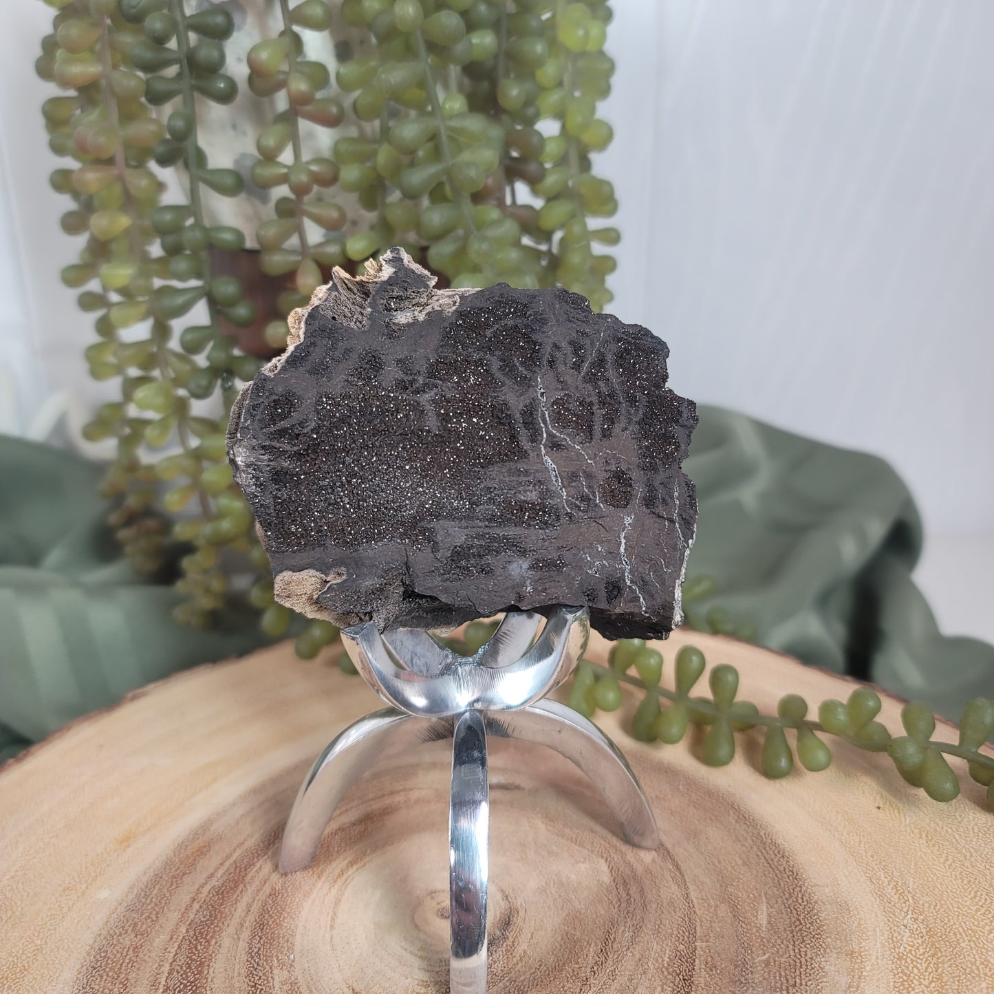 Permineralized Wood, Indonesia | 01